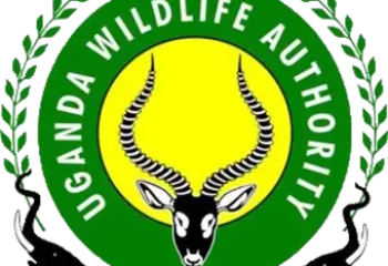 UWA
