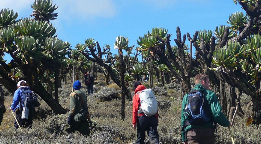 Mt Elgon-Uganda