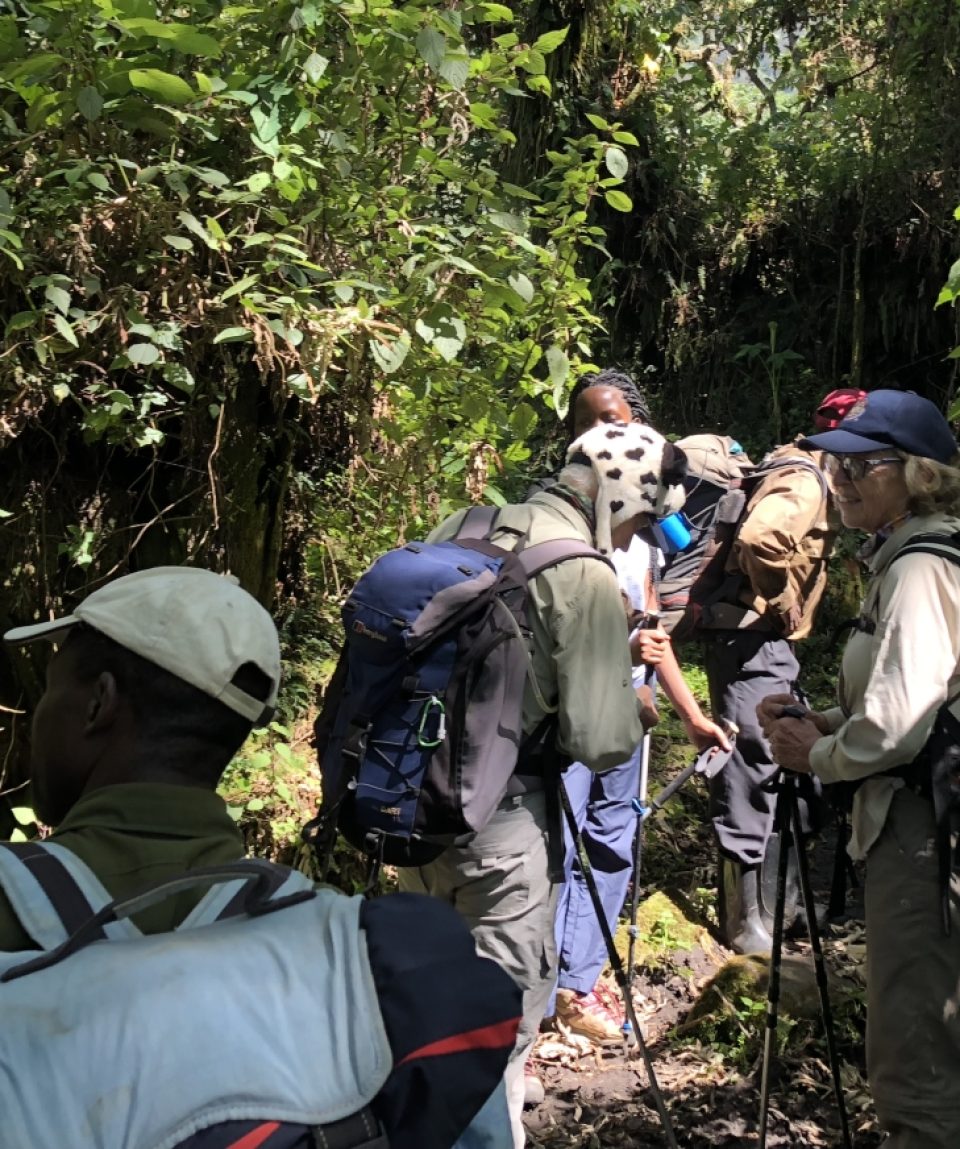 3 Days Rwenzori Mahoma loop Central Circuit