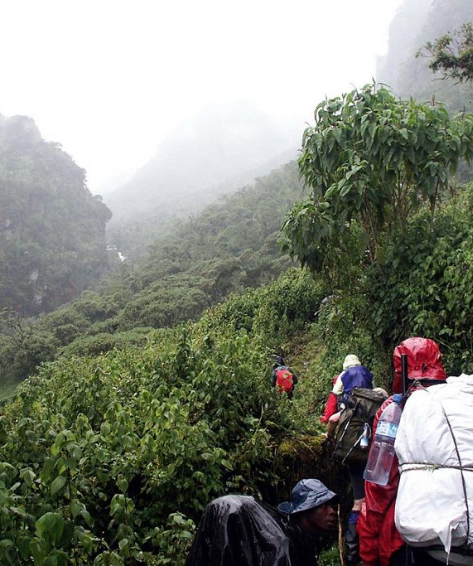 5 Days Rwenzori Mountain Hiking