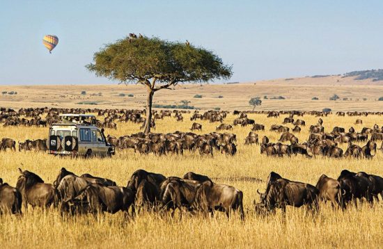 8 Days Tanzania and Kenya Wildlife Safari