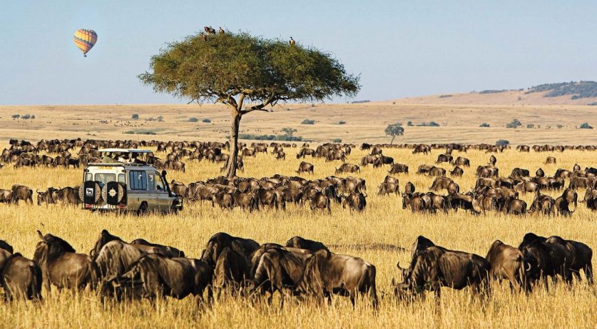 9 Days Tanzania and Kenya Wildlife Safari