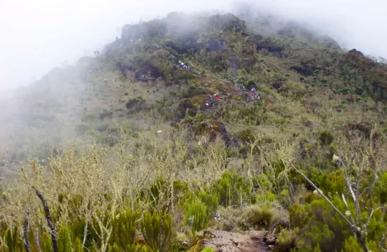 6 Days Machame Route hiking Mount Kilimanjaro