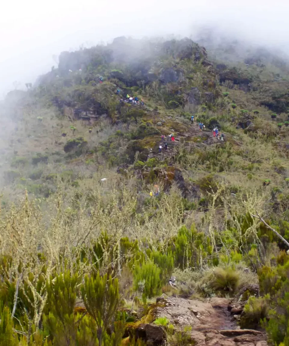 6 Days Machame Route hiking Mount Kilimanjaro