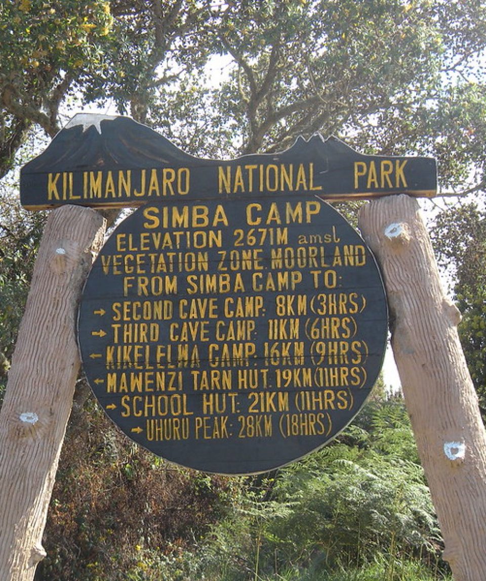 7 Days Rongai route Kilimanjaro Trekking
