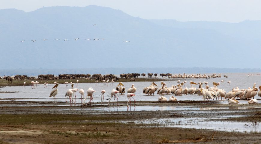 lake-manyara-national-park