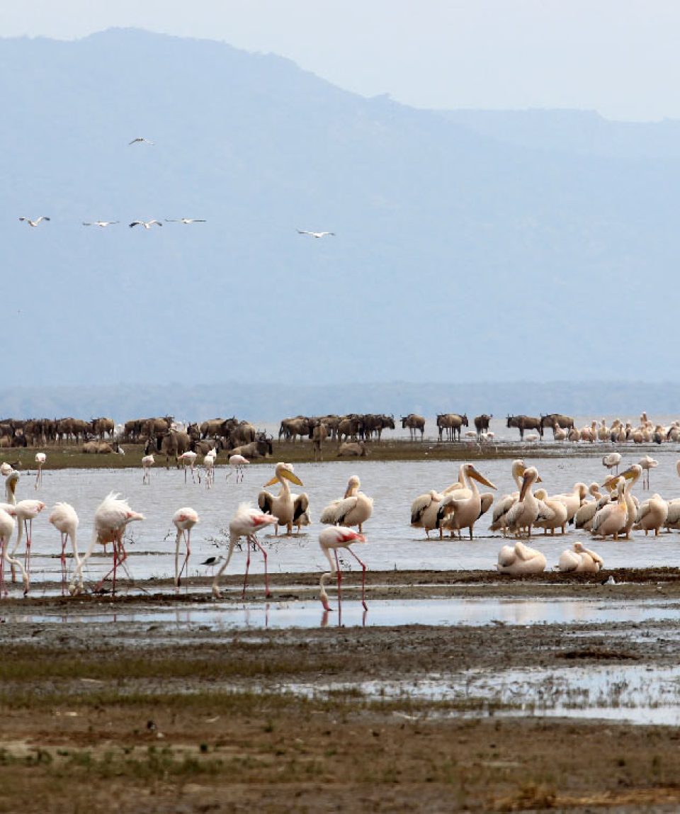 lake-manyara-national-park